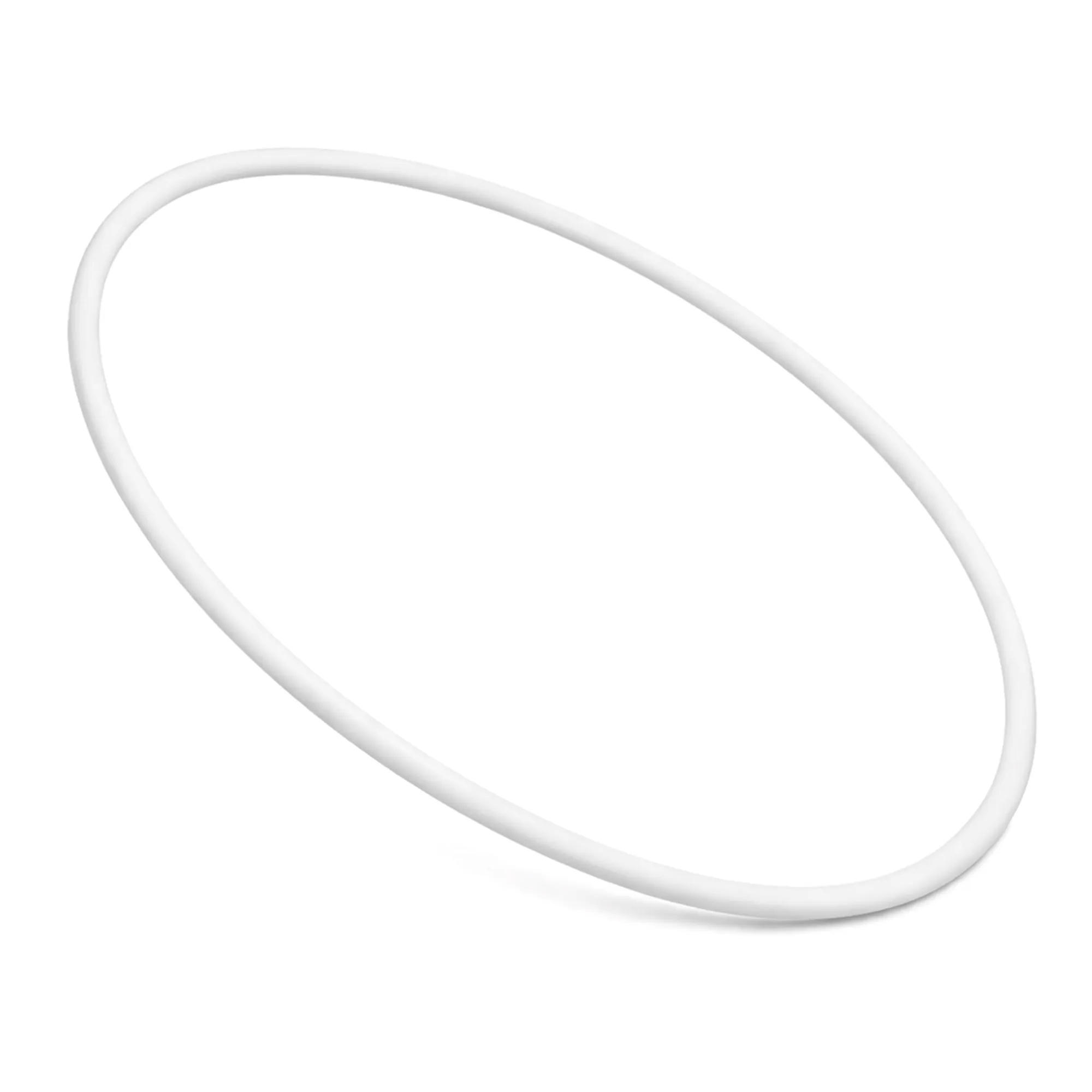 O-Ring-Belt-Transparent.webp